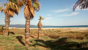 Mistral Sardegna