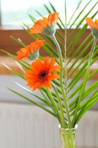 Appartements Alpenschlössl