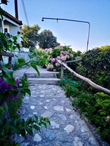 Daenerys Home in Agios Ioannis Papa Nero Pelion Greece