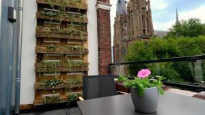 Sunny 45m2 Penthouse with Balcony and Terrace - R65C