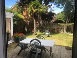 Mudeford Swans - 莫德福德