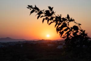 Hotel Villa Flora Naxos Greece