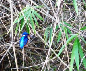 Saraswati Holiday House