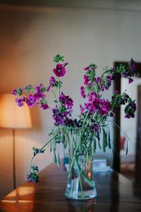 Zum Riesen Historic Refugium