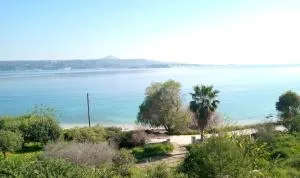 Muses Kalami - Kalami