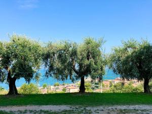 Cosy Torri Apartments