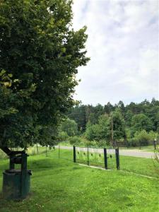 Domek pod Lipą
