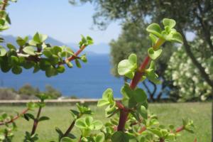 Breathtaking view on Peloponesis Aegina Greece