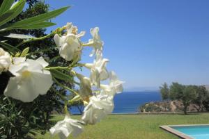 Breathtaking view on Peloponesis Aegina Greece