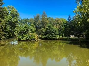 Villages vacances L'etang des Mirandes : photos des chambres