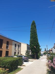Apartmani Slavulj 