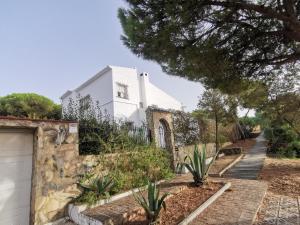Entre pinos y playa