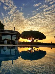 Villa Alba photo 24