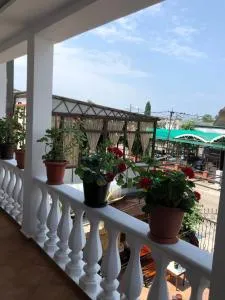 Nina Mini Hotel - Gagra