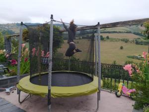 La Cabana´l Cachican