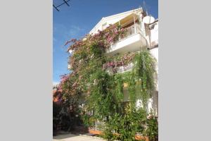 Apartman Graciela Perfect location Gradac 