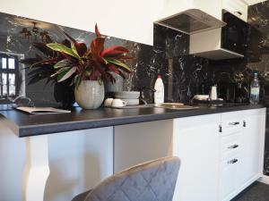 Apartamenty Stary Browar Oleśnica