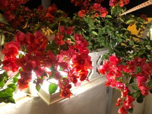 Saint James Park downstairs