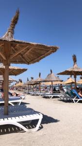 Apartament Andy Mamaia Nord 30 m de plaja