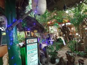 Chamis Place