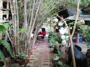 Chamis Place