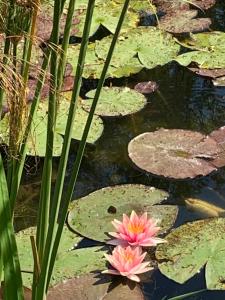 Appartements Les Coquelicots de Giverny : photos des chambres