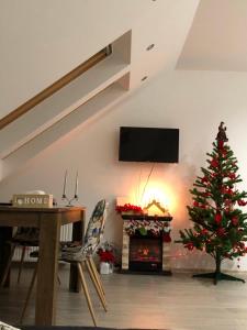 Apartament Andy Busteni 30 m de partie