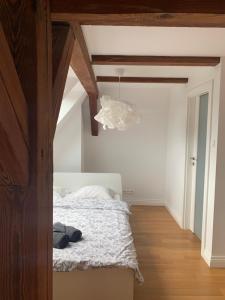 Masurian Apartment