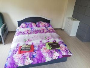 Nakvynė apgyvendinimo paslaugos DAIVOS NAKVYNĖS NAMAI