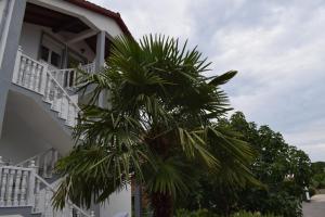 Apartments Malinska-Kajkić