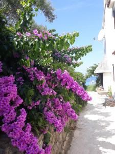 Apartman uz more Ivan
