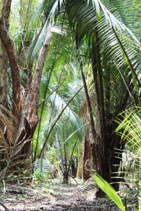 Chabil Mar Villas - Guest Exclusive Boutique Resort