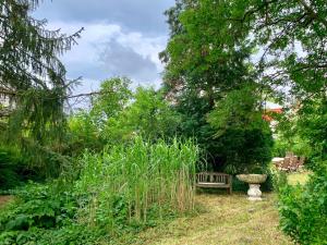 Deluxe Apartment Ground Floor Top 2  room in Altstadt Apartments Melk