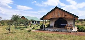 Africa Safari Serengeti Ikoma