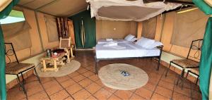 Africa Safari Serengeti Ikoma