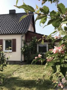 Agroturystyka pod jeleniem - 3hvězdičkové hotely ve městě Milicz