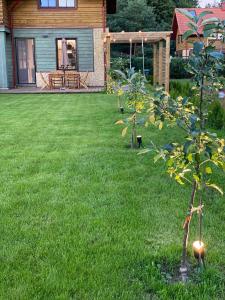 Karkle SummerHOUSE, sea view villa