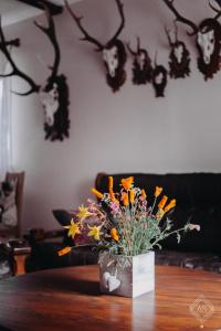 Agroturystyka pod jeleniem