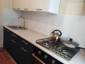 Квартира Добровольского, 105