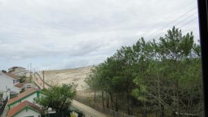 Appartement Mimizan Plage accès direct plage surveillée