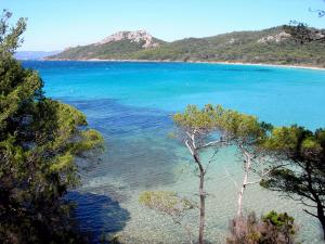 Appartements Loue maison de village a Hyeres/ les Borrels : photos des chambres