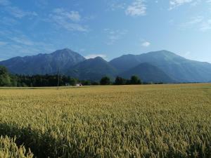 Glamping Mohorjev grunt