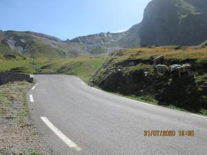 Appartements Studio Cerisema Pyrenees Zenith : photos des chambres