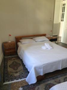 Aggelis Traditional Appartment