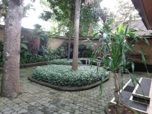 Klub Kokos Bungalows