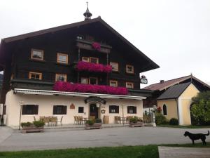 Appartement Hammerschmidt