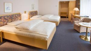Comfort Double Room room in Erikson Hotel