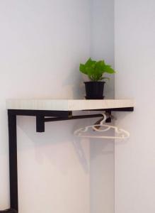 Rin GuestHouse Pracharak RD