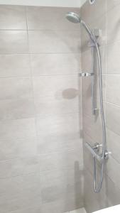 Muziejaus 10 studija