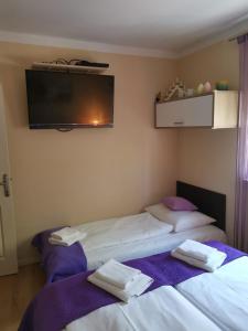 Apartman Lučica